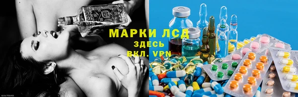 стафф Алзамай
