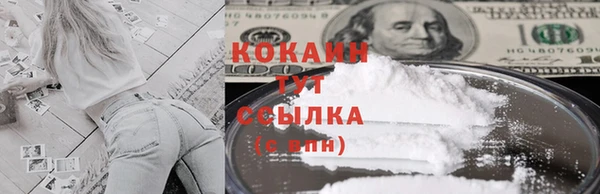стафф Алзамай