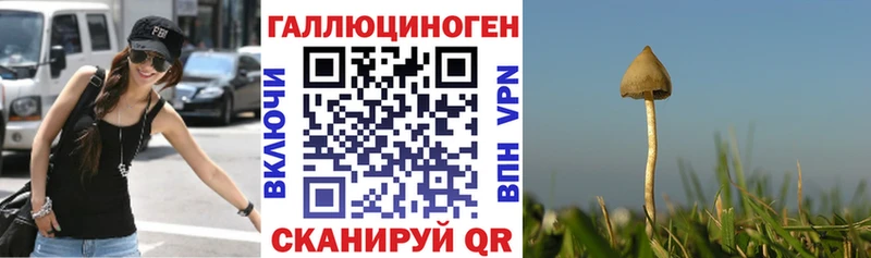 Галлюциногенные грибы Cubensis  кракен зеркало  Махачкала 
