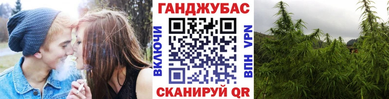 Бошки марихуана сатива  закладки  Махачкала 